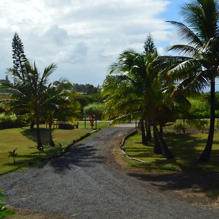 Bed and Breakfast God'S Peace Of Maui Makawao Номер фото