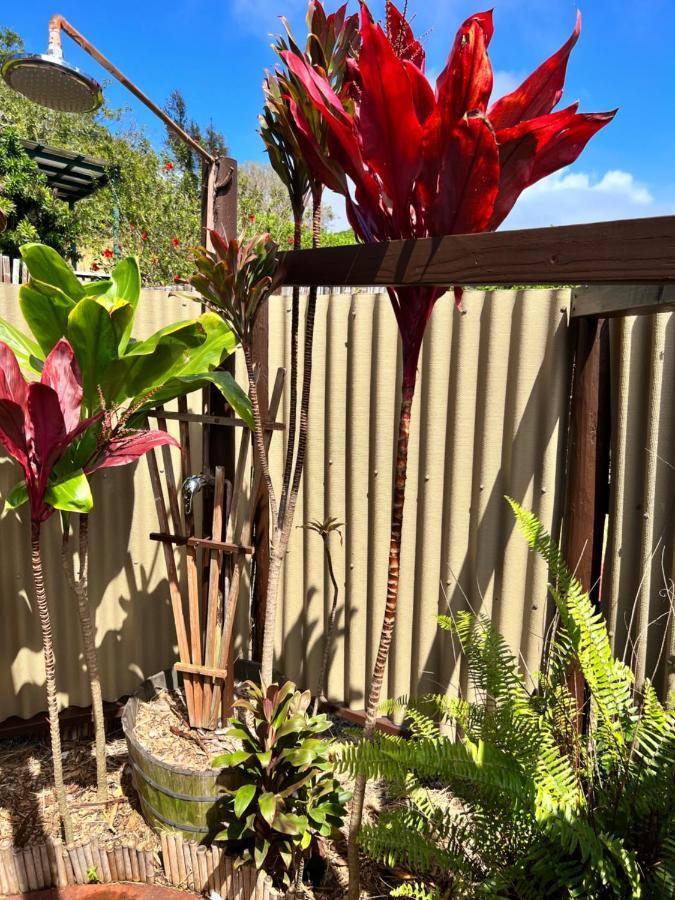 Bed and Breakfast God'S Peace Of Maui Makawao Экстерьер фото