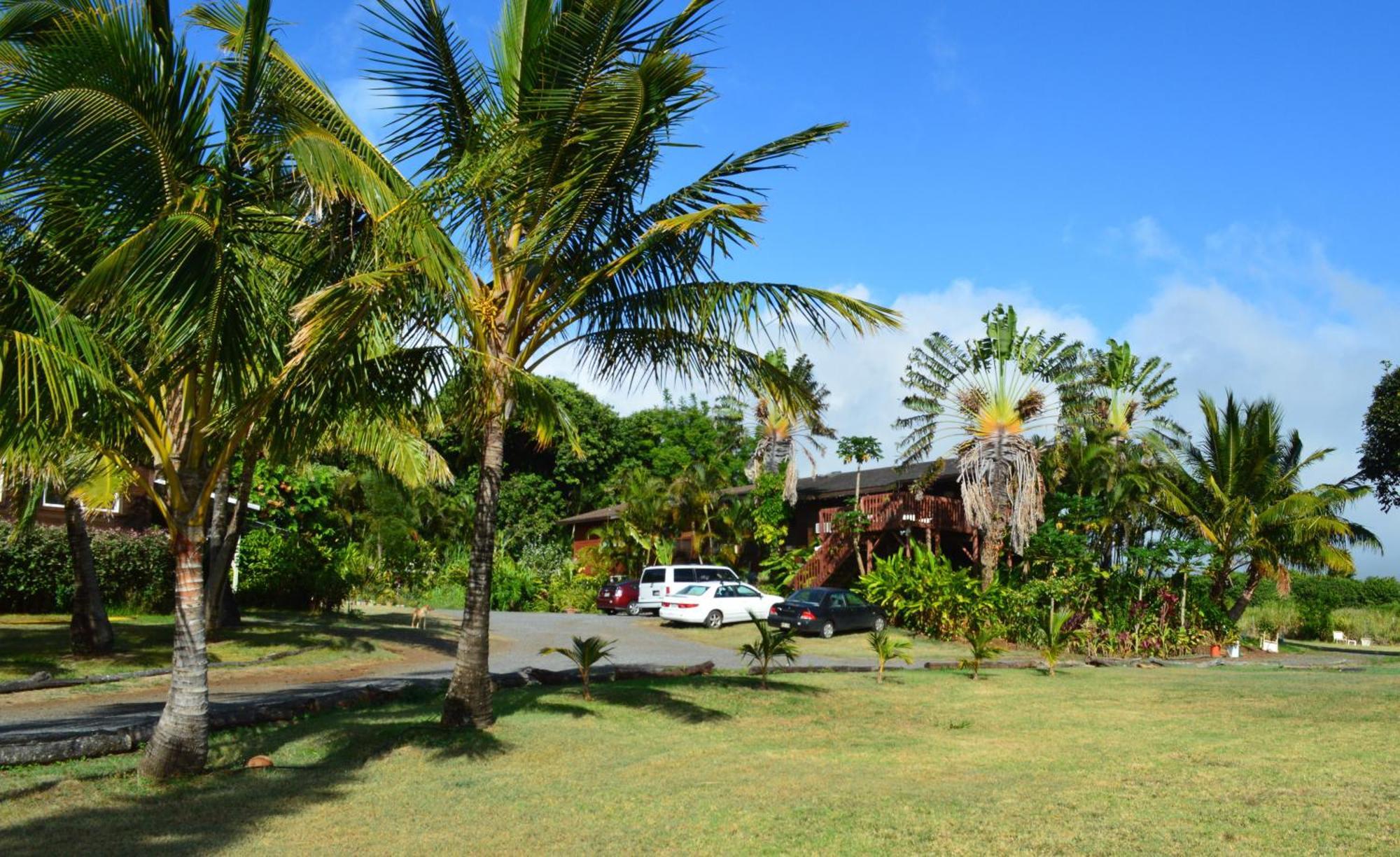 Bed and Breakfast God'S Peace Of Maui Makawao Номер фото