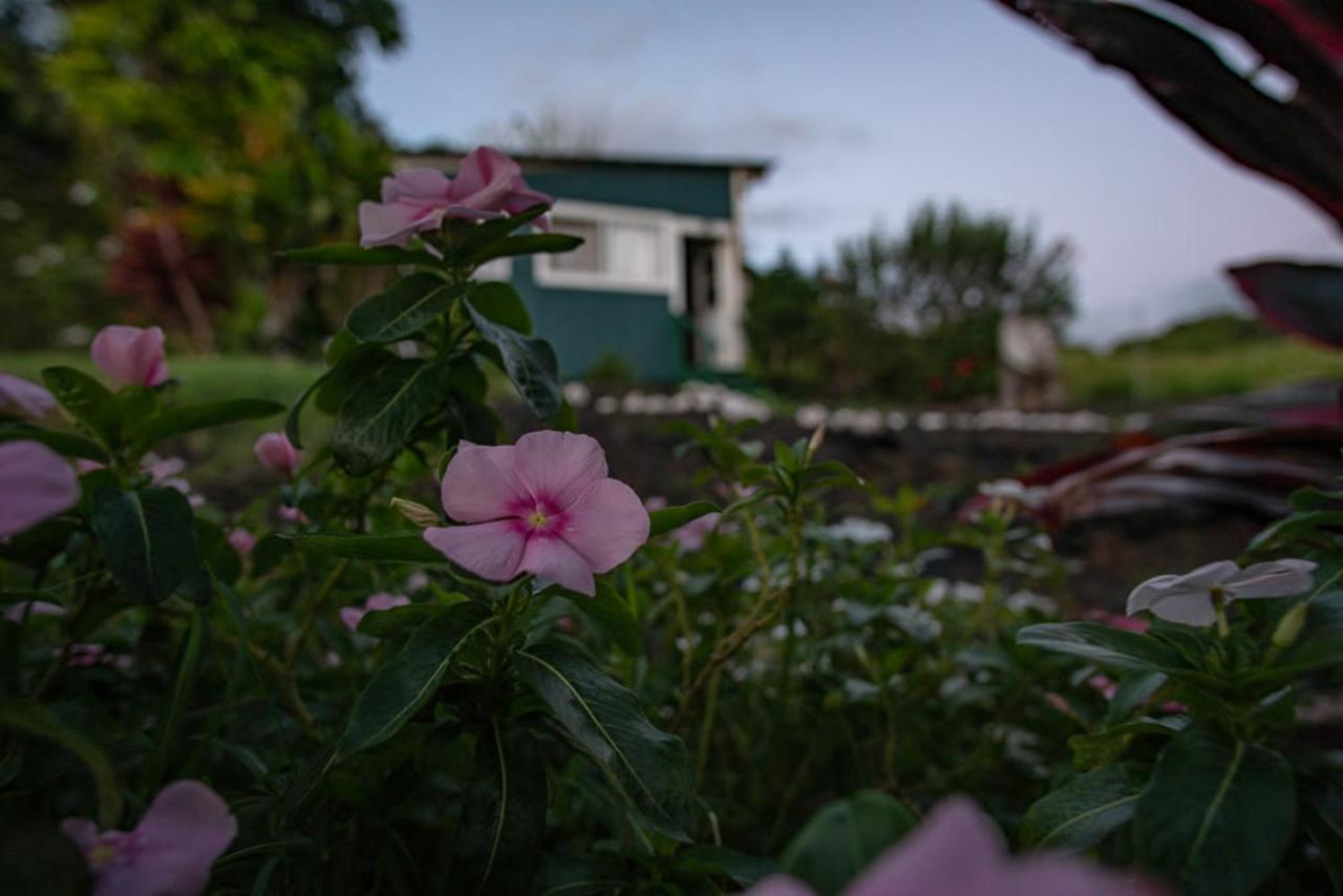 Bed and Breakfast God'S Peace Of Maui Makawao Экстерьер фото