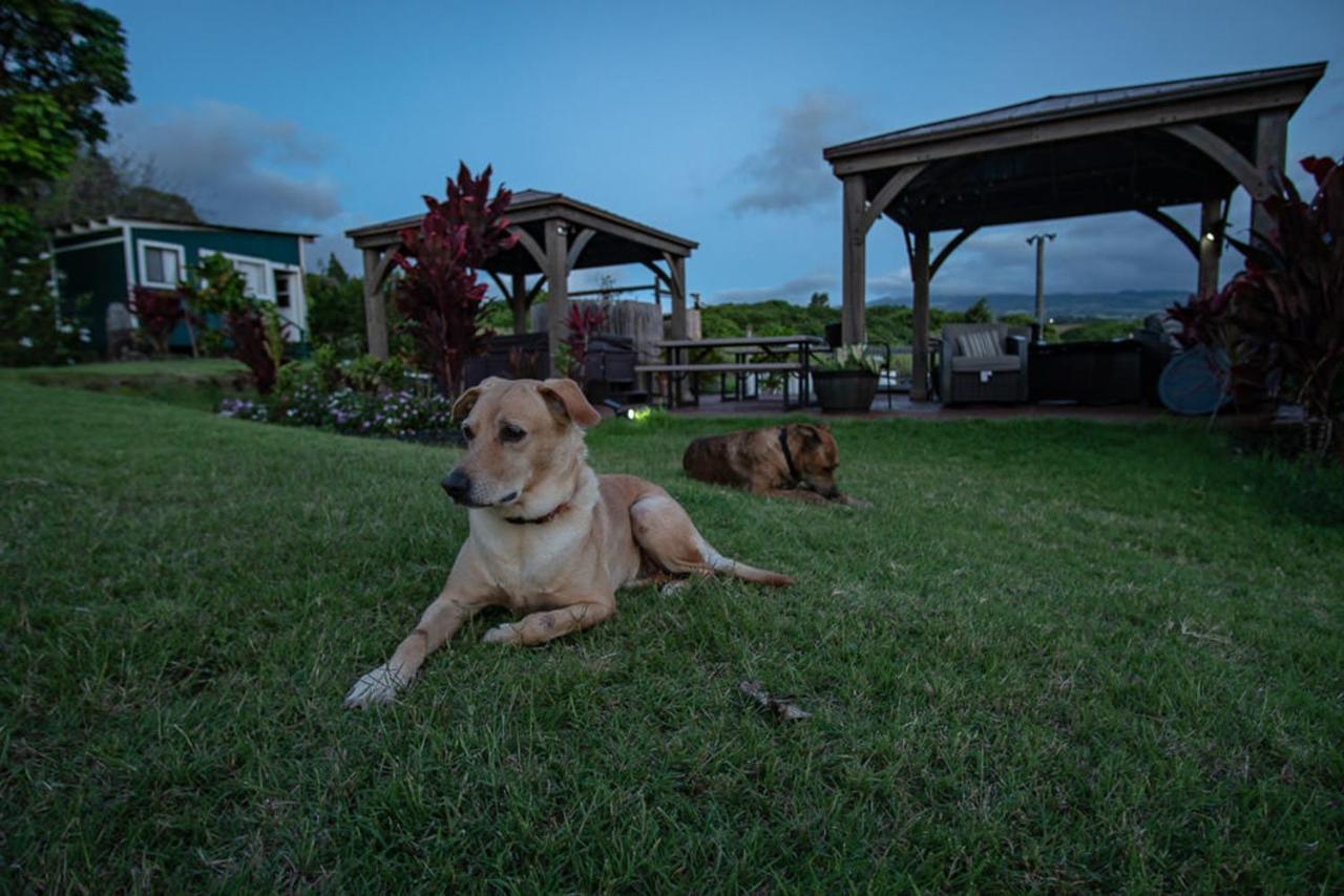 Bed and Breakfast God'S Peace Of Maui Makawao Экстерьер фото